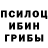 Галлюциногенные грибы GOLDEN TEACHER Alex Naumovich