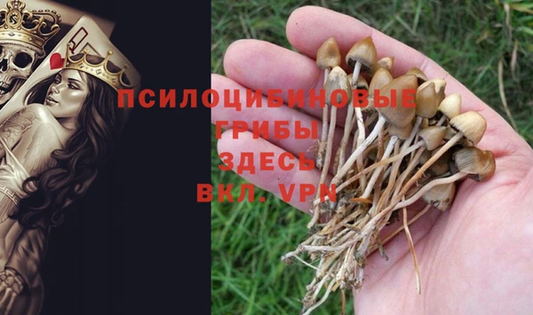 кокаин Верхний Тагил