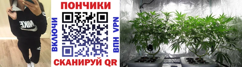 Каннабис OG Kush  Купить закладки  Крымск 